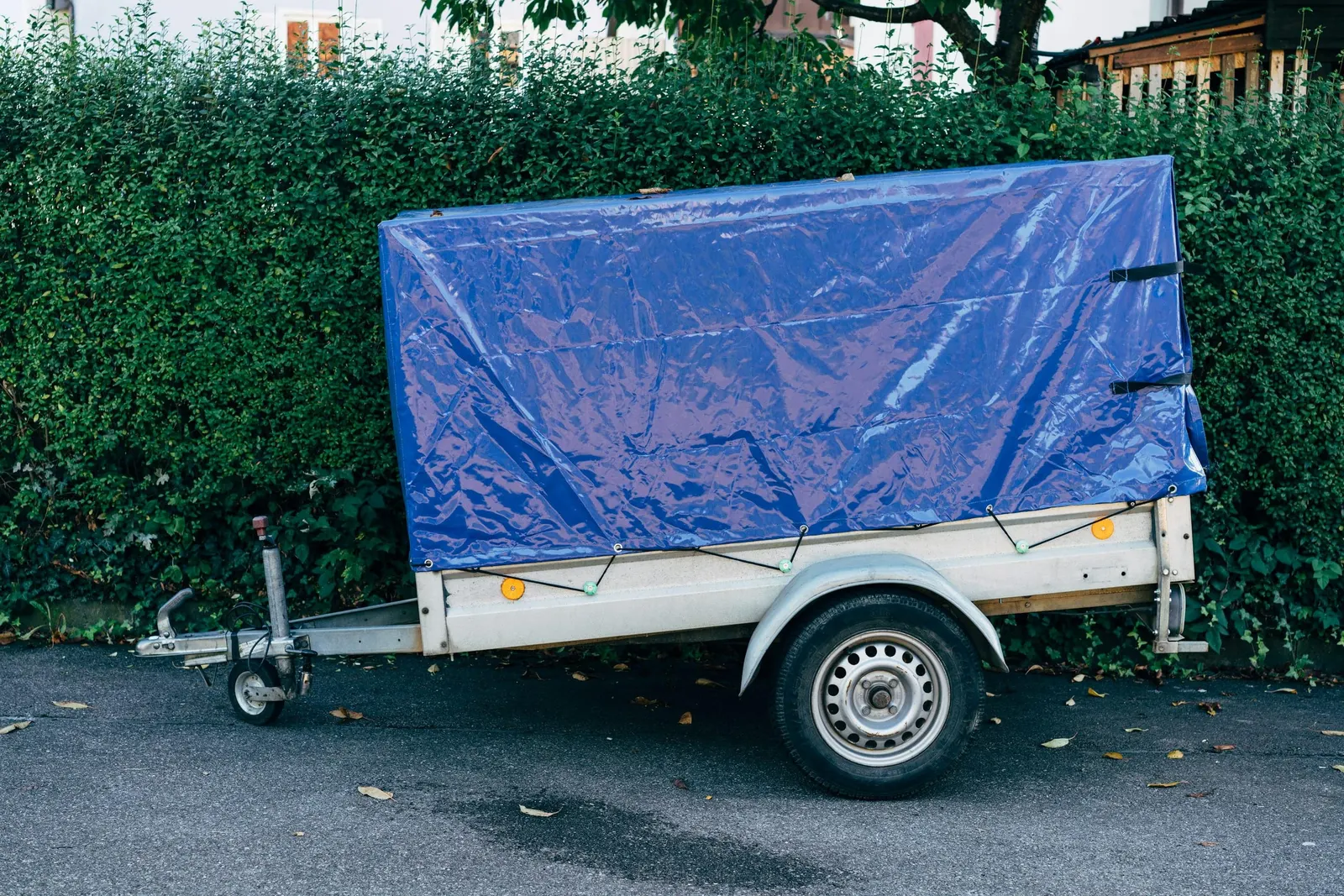 Trailer med blå presenning parkeret ved en hæk